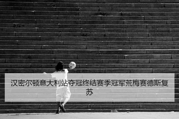 han-mi-er-dun-yi-da-li-zhan-duo-guan-zhong-jie-sai-ji-guan-jun-huang-mei-sai-de-si-fu-su-2-183.jpg
